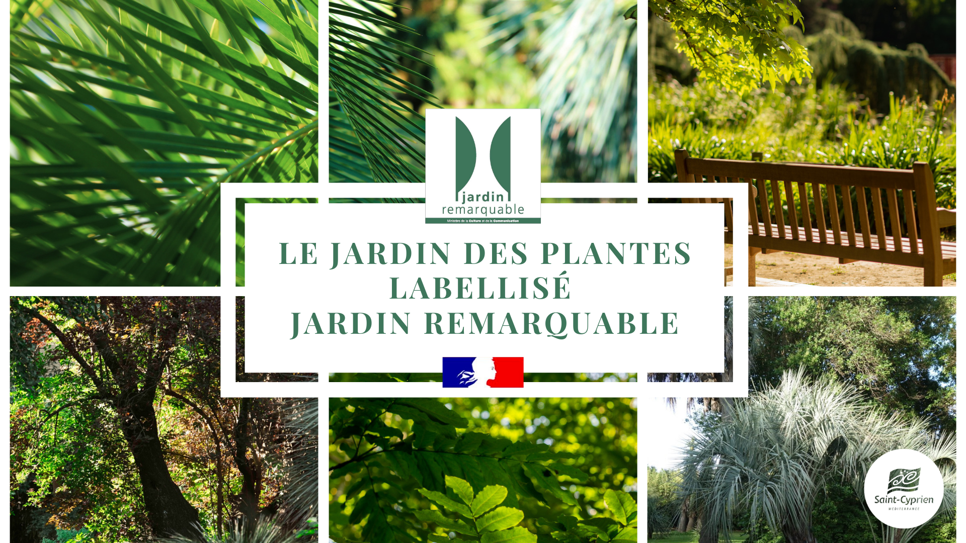 Jardin remarquable 1920 1080 px
